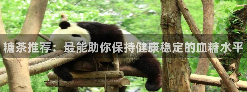 鸿运国际是什么游戏平台