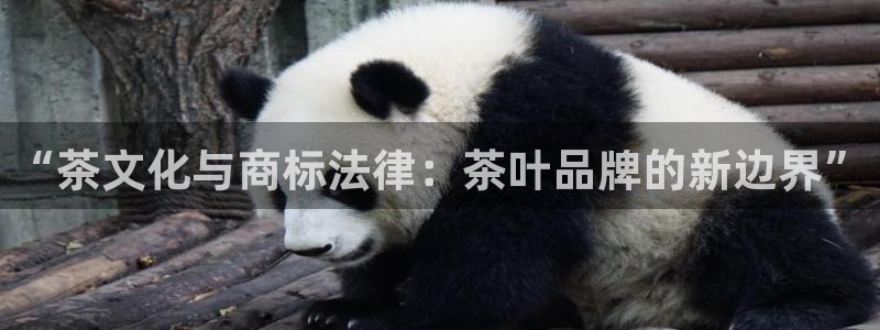 鸿运投资平台是什么