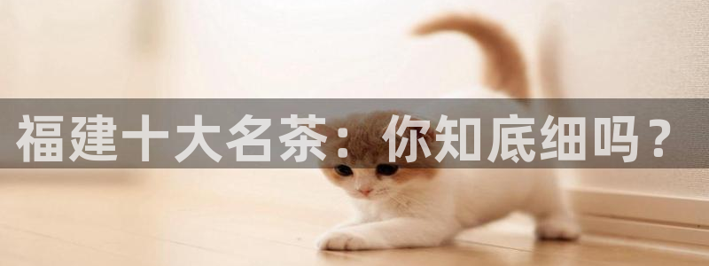 鸿运抽奖是什么平台