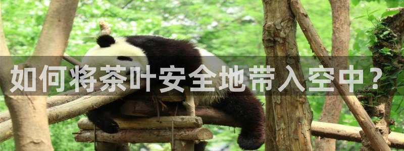 鸿运权威彩票平台