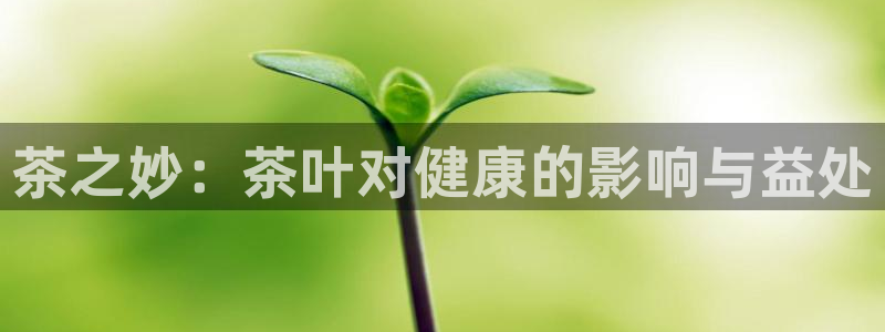 鸿运彩票网络平台下载