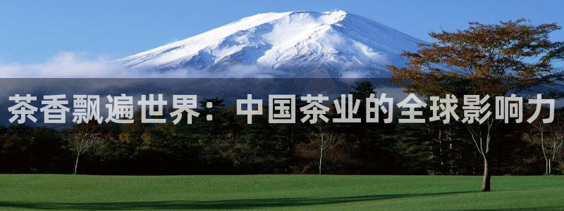 鸿运网络麻将平台