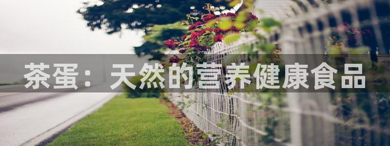 鸿运平台骗局曝光