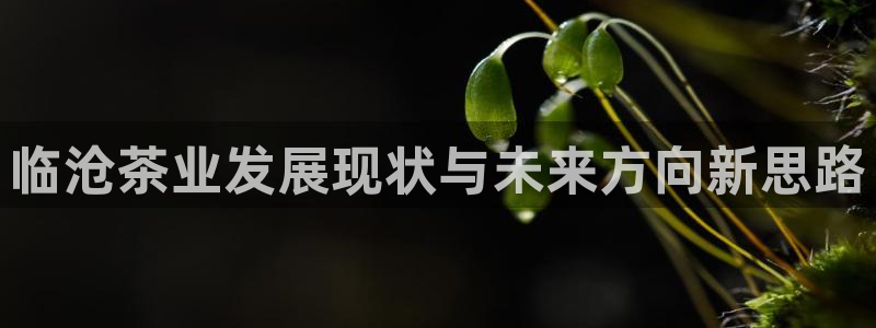 鸿运体育平台网址是什么