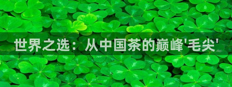 鸿运信息发布平台