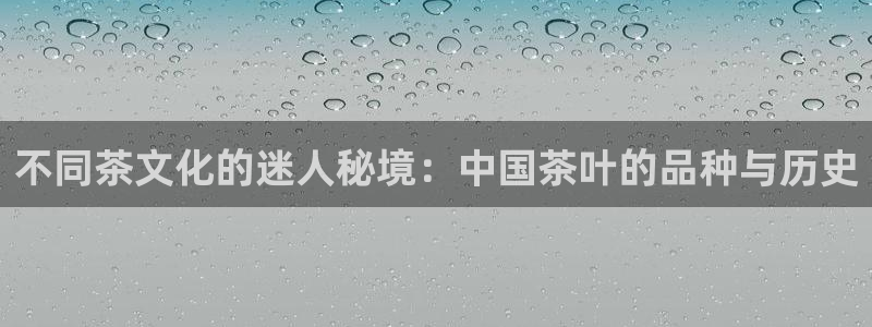 鸿运链锁管理平台