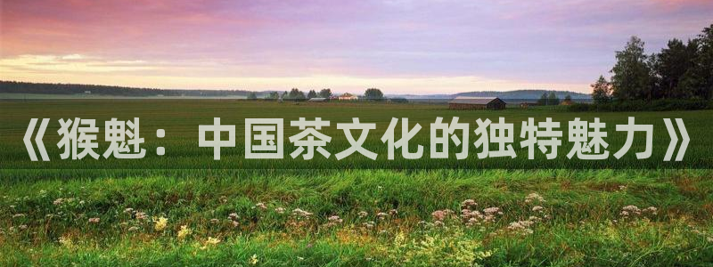 鸿运十三张充值平台