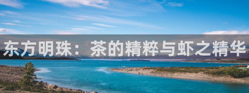 鸿运国际平台咋样