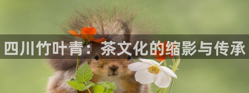 鸿运在线是什么平台