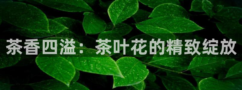 鸿运平台在线客服电话