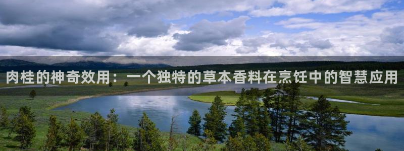 鸿运自助卡密平台