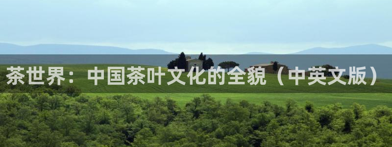 鸿运借款是什么平台