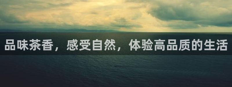 鸿运投注网平台