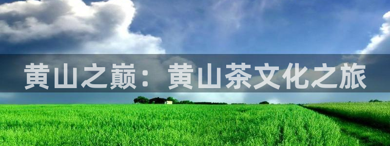 正规鸿运国际平台