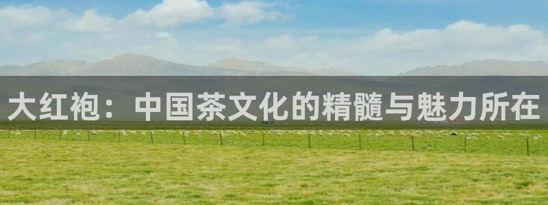 鸿运挖矿平台注册