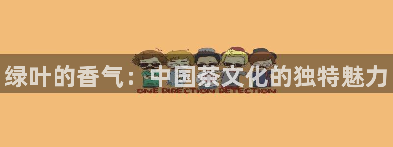 鸿运公司滴滴平台