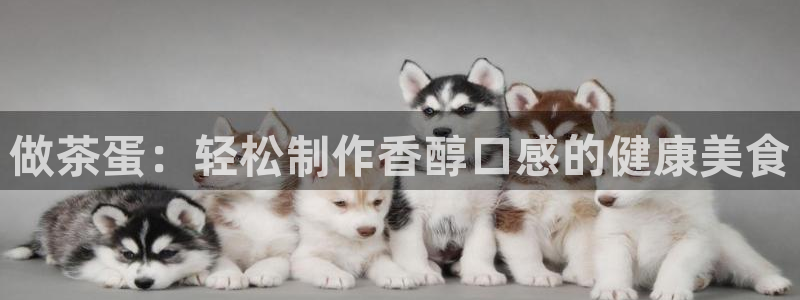 鸿运平台靠谱吗