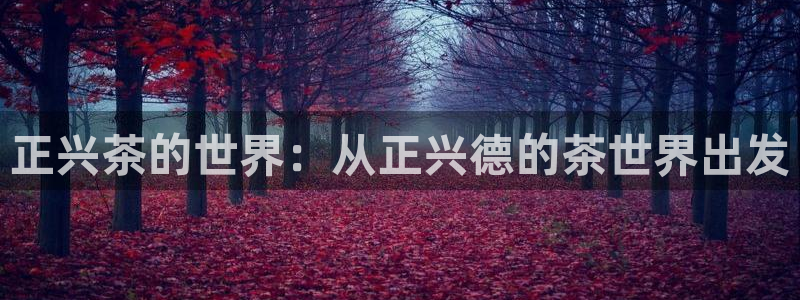 大发云鸿运平台