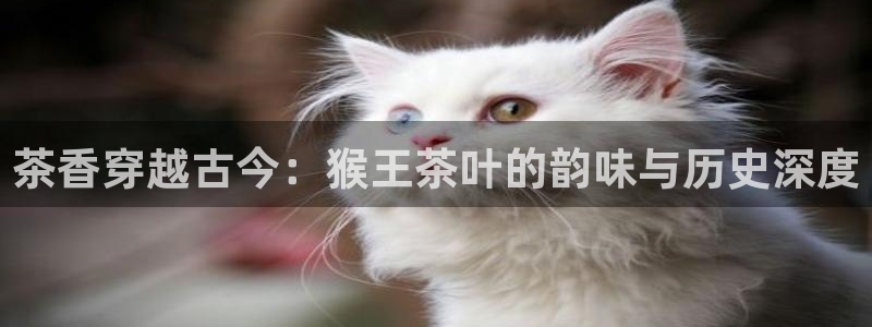 鸿运串串团购平台