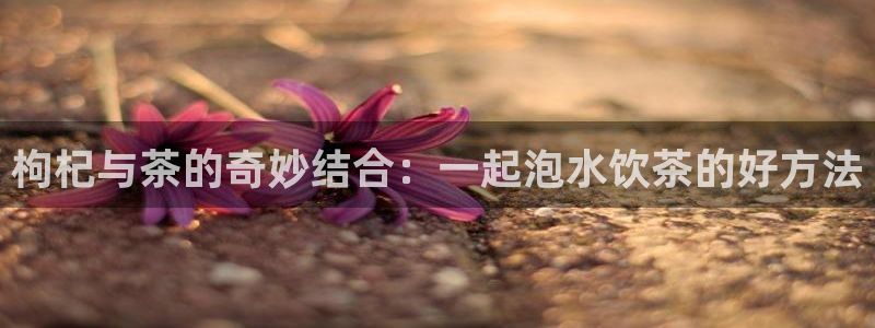 鸿运通贷款平台