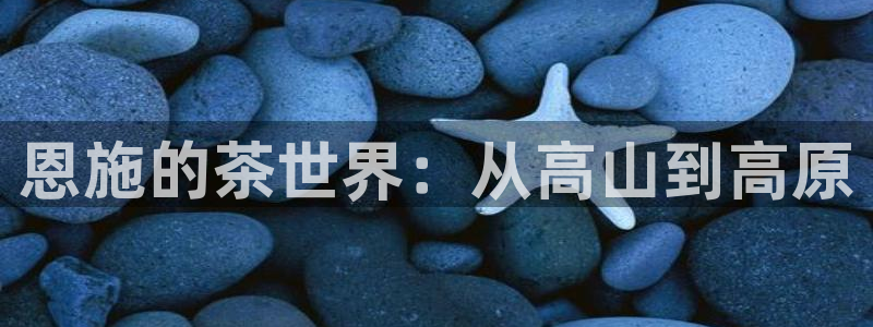 鸿运达出票平台