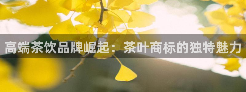 鸿运彩票网络平台下载