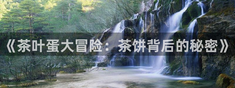 鸿运国际赌场平台