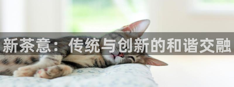 香港鸿运微投资平台