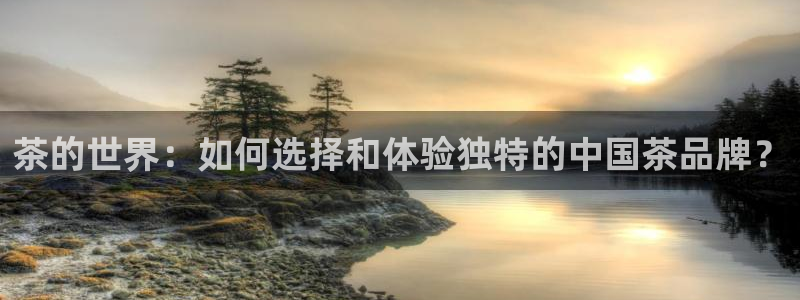鸿运九九平台