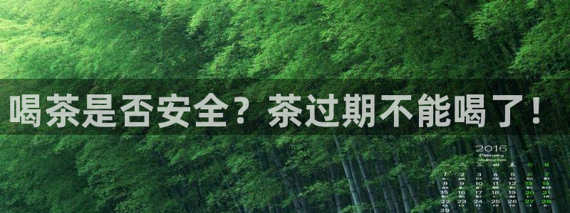 鸿运商会直播平台