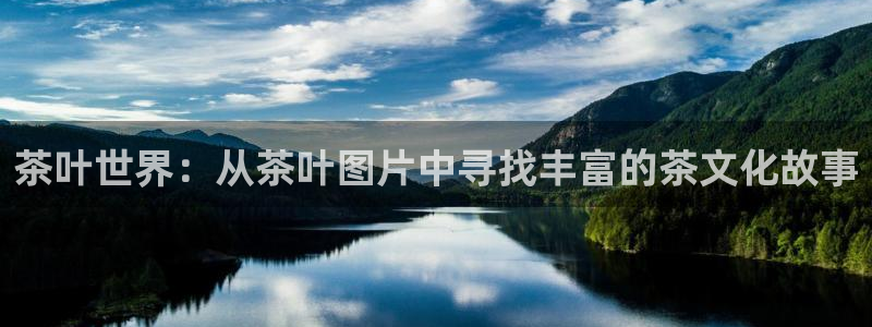 鸿运直播类似直播平台