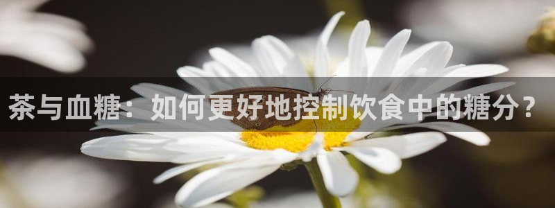 鸿运棋牌平台下载