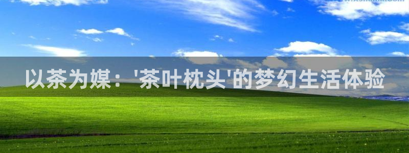 大发鸿运平台