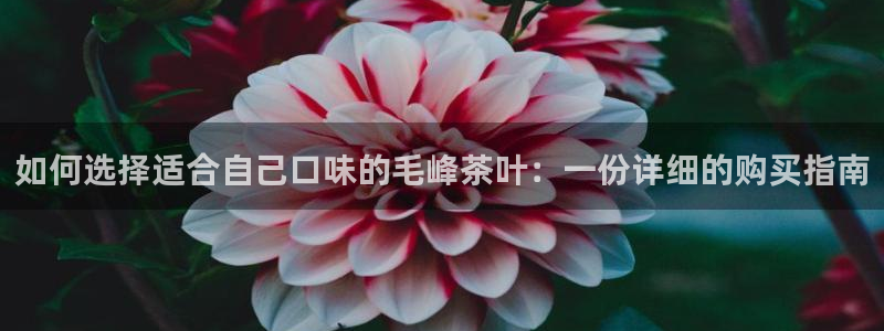 澳门鸿运赌场平台