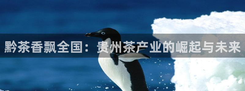 鸿运借款平台可靠吗