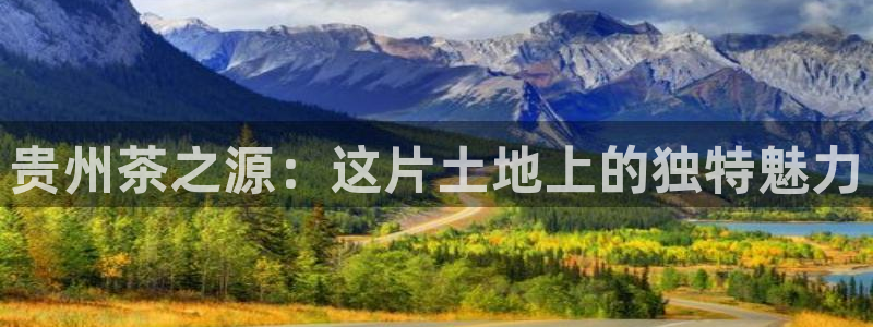 琥珀鸿运是什么平台