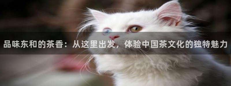 鸿运平台运平