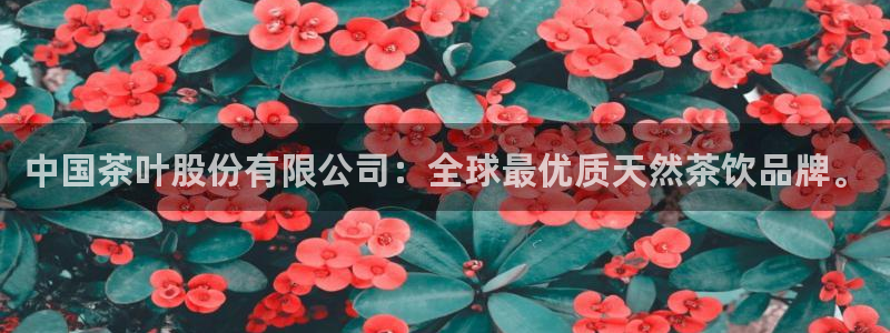 鸿运平台代理