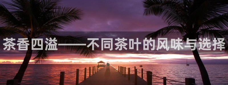 鸿运借款是什么平台