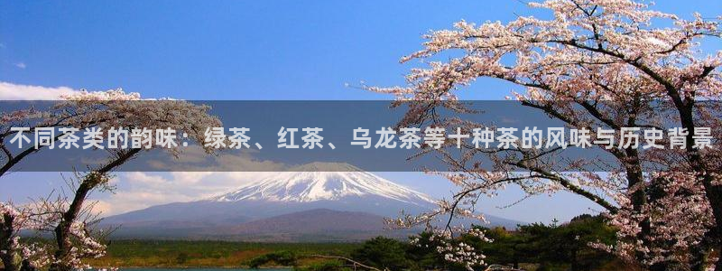鸿运平台真假