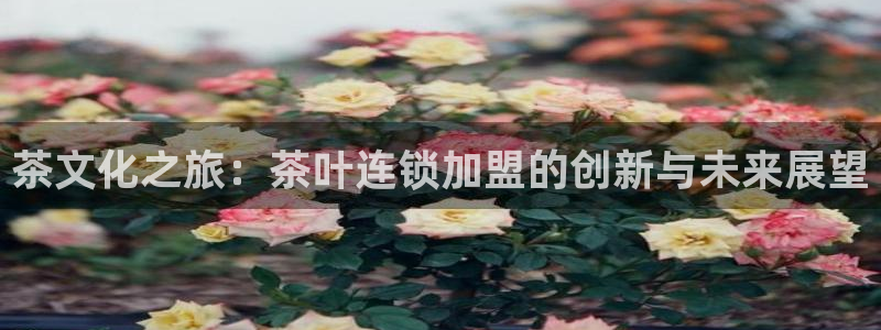 鸿运手机团购平台