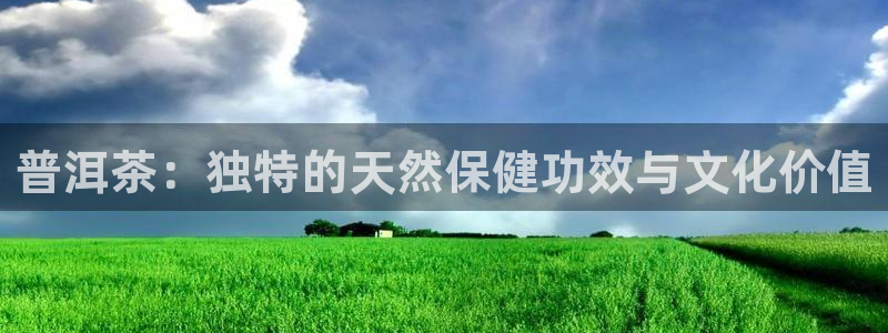 鸿运最佳平台