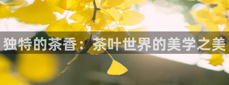鸿运平台招商
